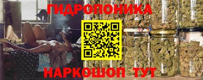 стафф Кандалакша
