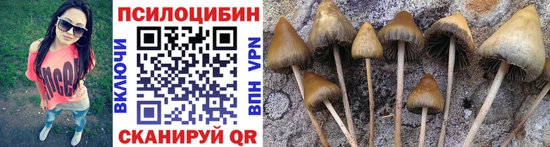 Купить закладки  Шатура  Галлюциногенные грибы мухоморы 