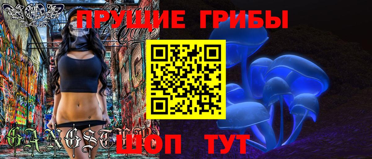 Галлюциногенные грибы Psilocybine cubensis Шатура