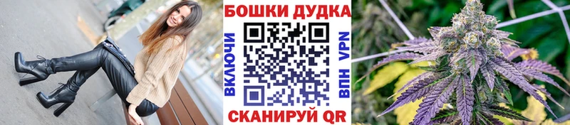 Купить закладки  Шатура  Канабис ГИДРОПОН 